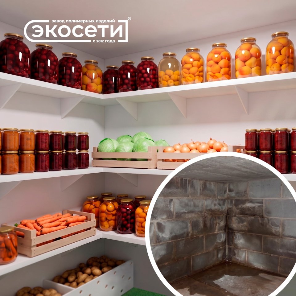 Какой погреб поставить, если участок в низине и грунтовые воды стоят высоко?