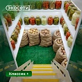 Чем отличается погреб Экосети Классик от Классик+?