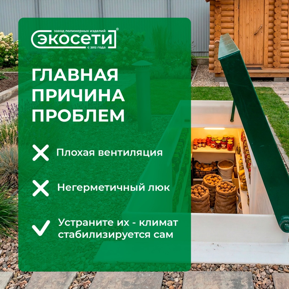 Как добиться идеальной температуры и влажности в погребе?