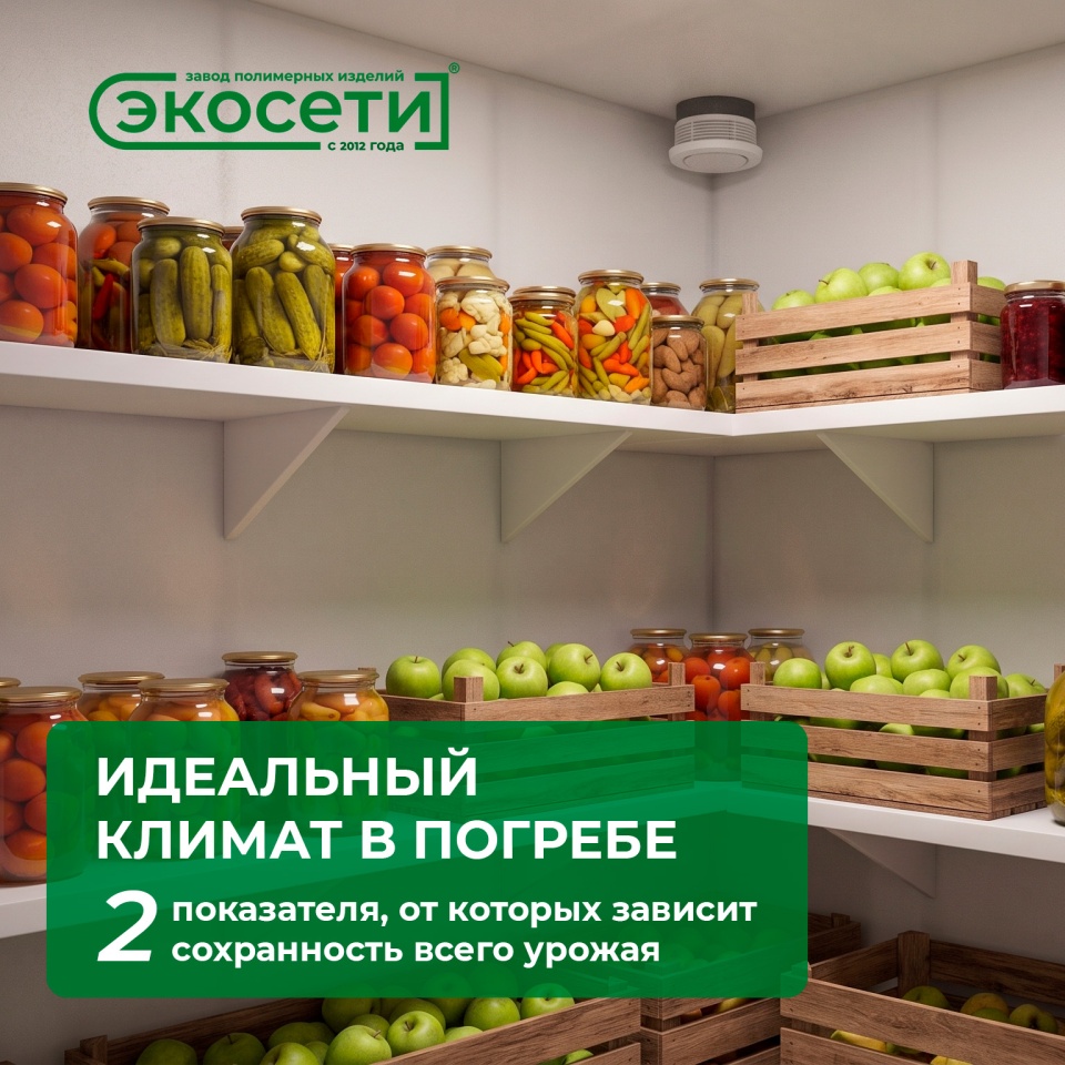 Как добиться идеальной температуры и влажности в погребе?